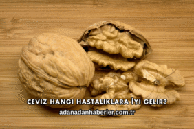Ceviz Hangi Hastalıklara İyi Gelir?
