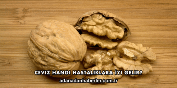 Ceviz Hangi Hastalıklara İyi Gelir?