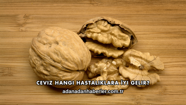 Ceviz Hangi Hastalıklara İyi Gelir?