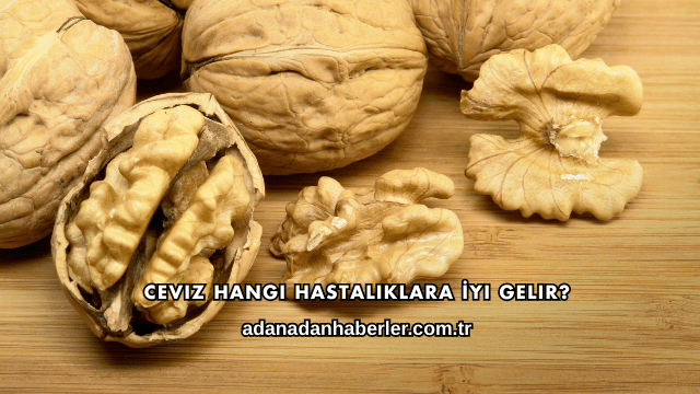 Ceviz Hangi Hastalıklara İyi Gelir?