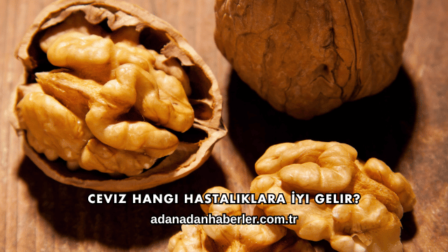 Ceviz Hangi Hastalıklara İyi Gelir?