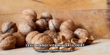 Ceviz Hangi Vitaminleri İçerir?