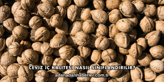 Ceviz İç Kalitesi Nasıl Sınıflandırılır?