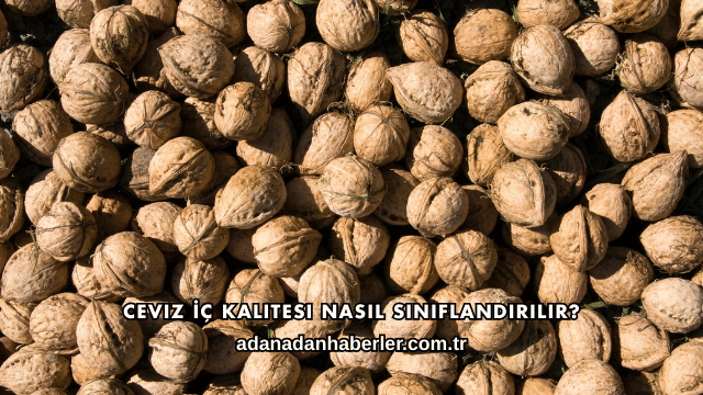 Ceviz İç Kalitesi Nasıl Sınıflandırılır?