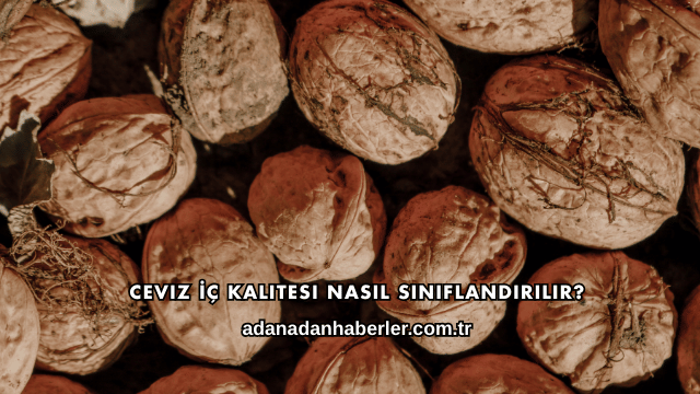 Ceviz İç Kalitesi Nasıl Sınıflandırılır?