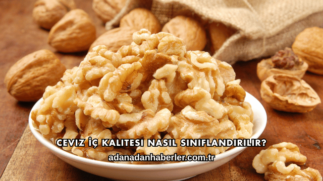 Ceviz İç Kalitesi Nasıl Sınıflandırılır?