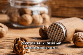 Ceviz Kalbe İyi Gelir mi?