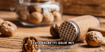 Ceviz Kalbe İyi Gelir mi?