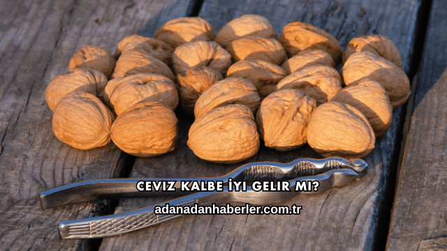 Ceviz Kalbe İyi Gelir mi?