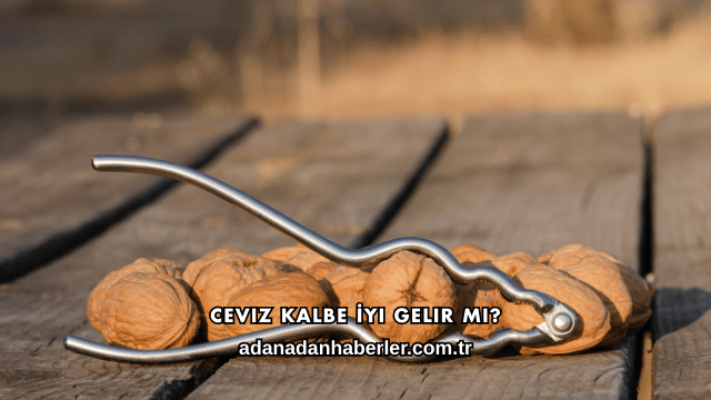 Ceviz Kalbe İyi Gelir mi?