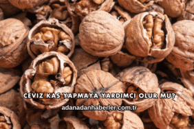 Ceviz Kas Yapmaya Yardımcı Olur mu?