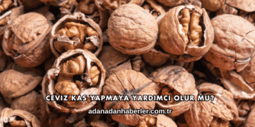Ceviz Kas Yapmaya Yardımcı Olur mu?