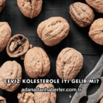 Ceviz Kolesterole İyi Gelir mi?