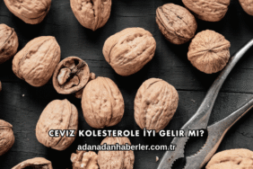 Ceviz Kolesterole İyi Gelir mi?