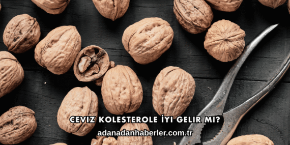 Ceviz Kolesterole İyi Gelir mi?