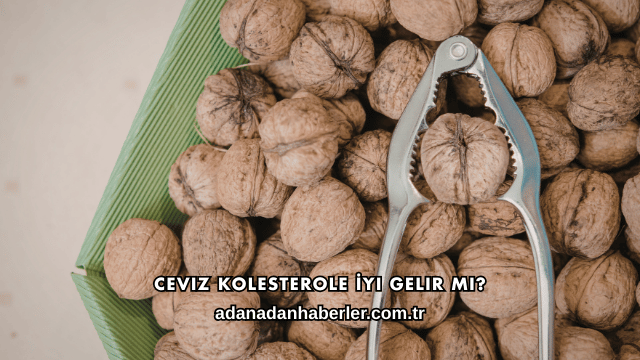 Ceviz Kolesterole İyi Gelir mi?