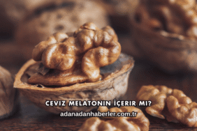 Ceviz Melatonin İçerir mi?
