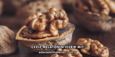 Ceviz Melatonin İçerir mi?