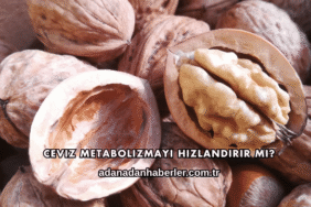 Ceviz Metabolizmayı Hızlandırır mı?