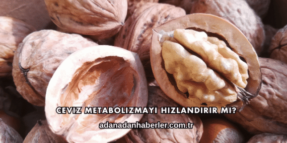 Ceviz Metabolizmayı Hızlandırır mı?