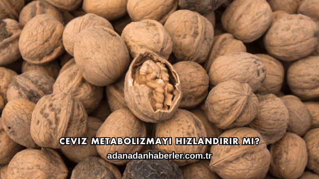Ceviz Metabolizmayı Hızlandırır mı?