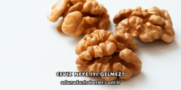 Ceviz Neye İyi Gelmez?