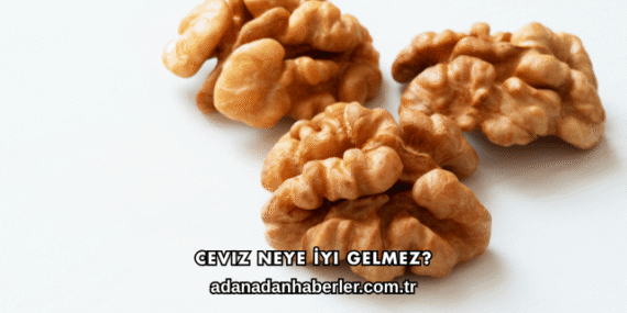 Ceviz Neye İyi Gelmez?