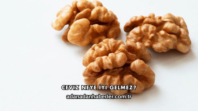 Ceviz Neye İyi Gelmez?