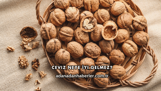 Ceviz Neye İyi Gelmez?