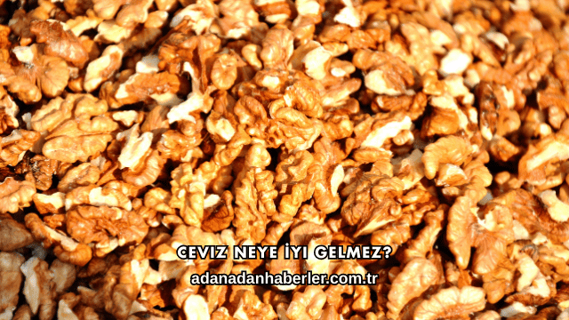 Ceviz Neye İyi Gelmez?