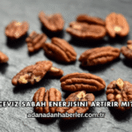 Ceviz Sabah Enerjisini Artırır mı?
