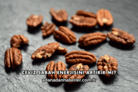 Ceviz Sabah Enerjisini Artırır mı?