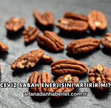 Ceviz Sabah Enerjisini Artırır mı?