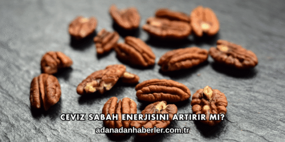 Ceviz Sabah Enerjisini Artırır mı?
