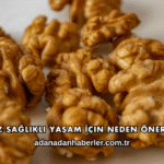 Ceviz Sağlıklı Yaşam İçin Neden Önerilir?