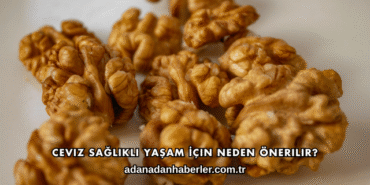 Ceviz Sağlıklı Yaşam İçin Neden Önerilir?