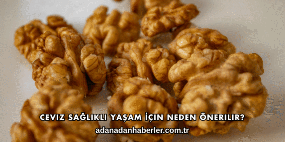 Ceviz Sağlıklı Yaşam İçin Neden Önerilir?