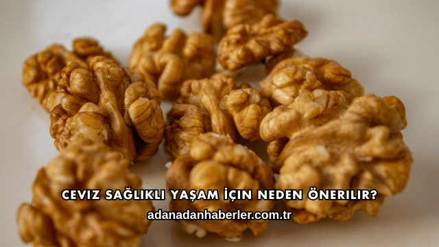 Ceviz Sağlıklı Yaşam İçin Neden Önerilir?