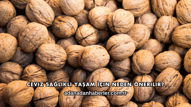Ceviz Sağlıklı Yaşam İçin Neden Önerilir?
