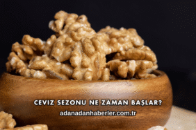 Ceviz Sezonu Ne Zaman Başlar?