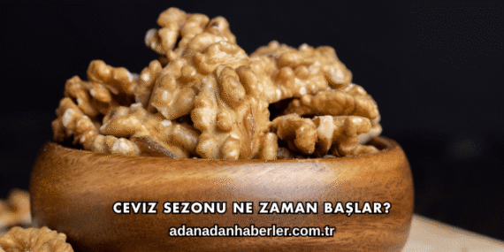 Ceviz Sezonu Ne Zaman Başlar?