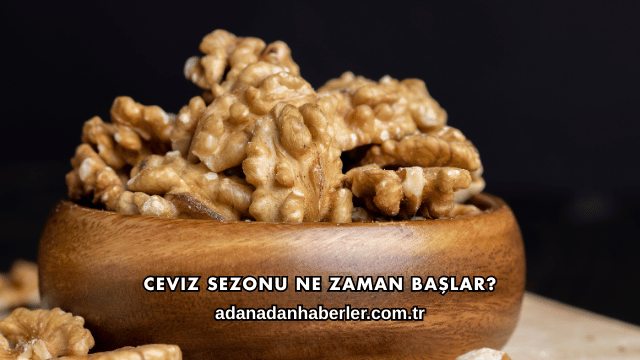 Ceviz Sezonu Ne Zaman Başlar?
