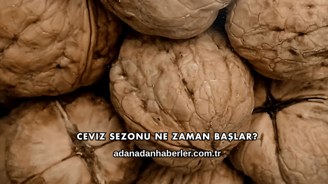 Ceviz Sezonu Ne Zaman Başlar?