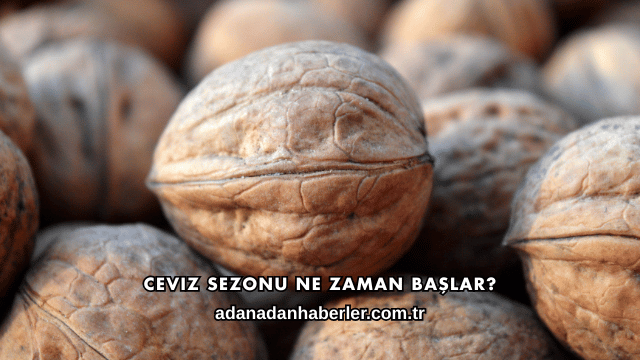 Ceviz Sezonu Ne Zaman Başlar?