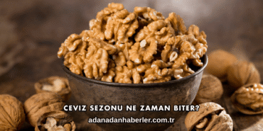 Ceviz Sezonu Ne Zaman Biter?