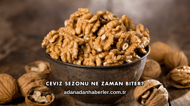 Ceviz Sezonu Ne Zaman Biter?