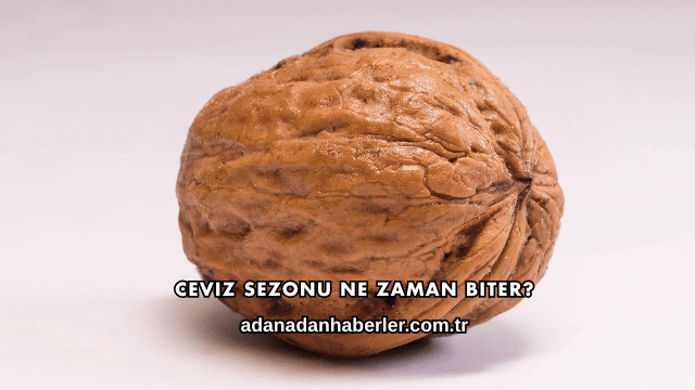 Ceviz Sezonu Ne Zaman Biter?