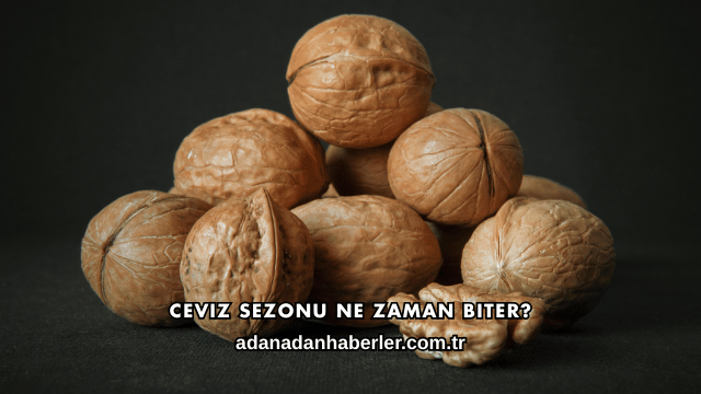 Ceviz Sezonu Ne Zaman Biter?