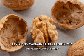 Ceviz Sos Yapımında Kullanılır mı?