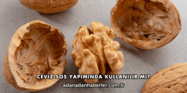 Ceviz Sos Yapımında Kullanılır mı?